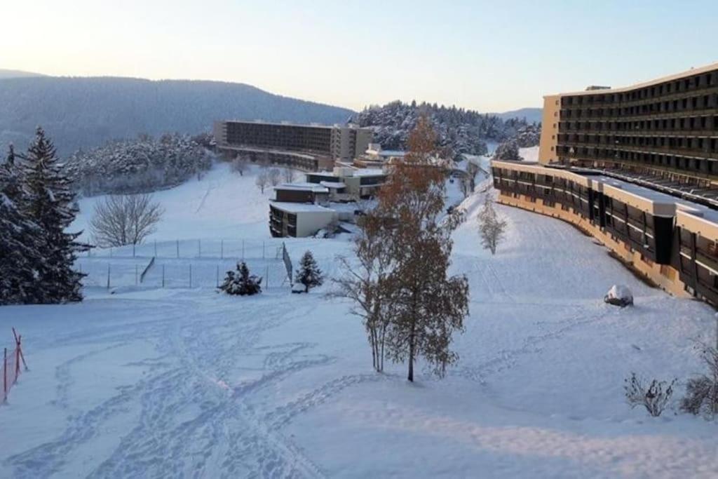 Cosy Au Pied Des Pistes 4 Pers *