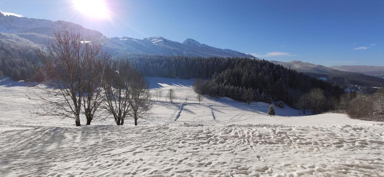 Cosy Au Pied Des Pistes 4 Pers *